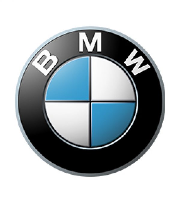 bmw logo monsterledhez